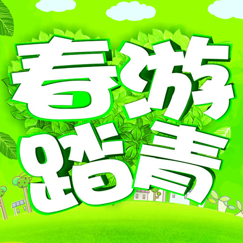“登巍山巅峰 寻春日气息 绽放盟盛梦”——记盟盛2016年春游活动
